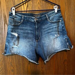 Arizona Junior’s Jean Shorts, Size 19